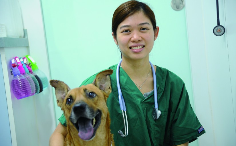 做獸醫得力助手　助理具備動物疾病、護理知識